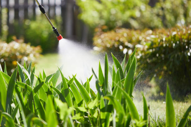 Tamper-Resistant Bait Stations for Rodents in Ainaloa