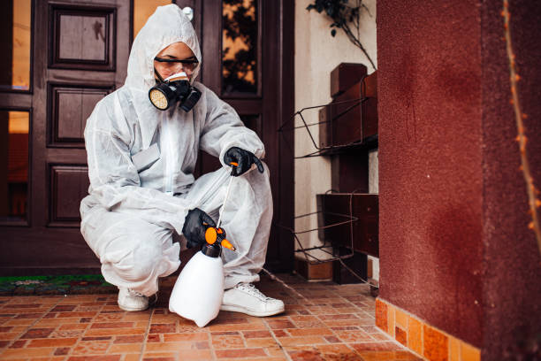 Attic and Crawl Space Rodent Treatment in Ainaloa
