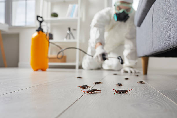 Commercial Rodent Management in Ainaloa
